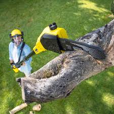 Reliable Gordonsville, VA Tree Removal Solutions